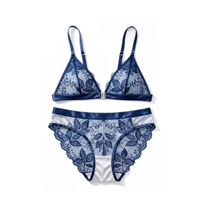 Top Hot Lace Bra with Structured Longline Silhouette Vertical Paneling Detail Sexy Underwear Women Lingerie for Lady Lace Bra