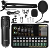 Conjunto de tarjeta de sonido Black-Black BM800+V10xPro