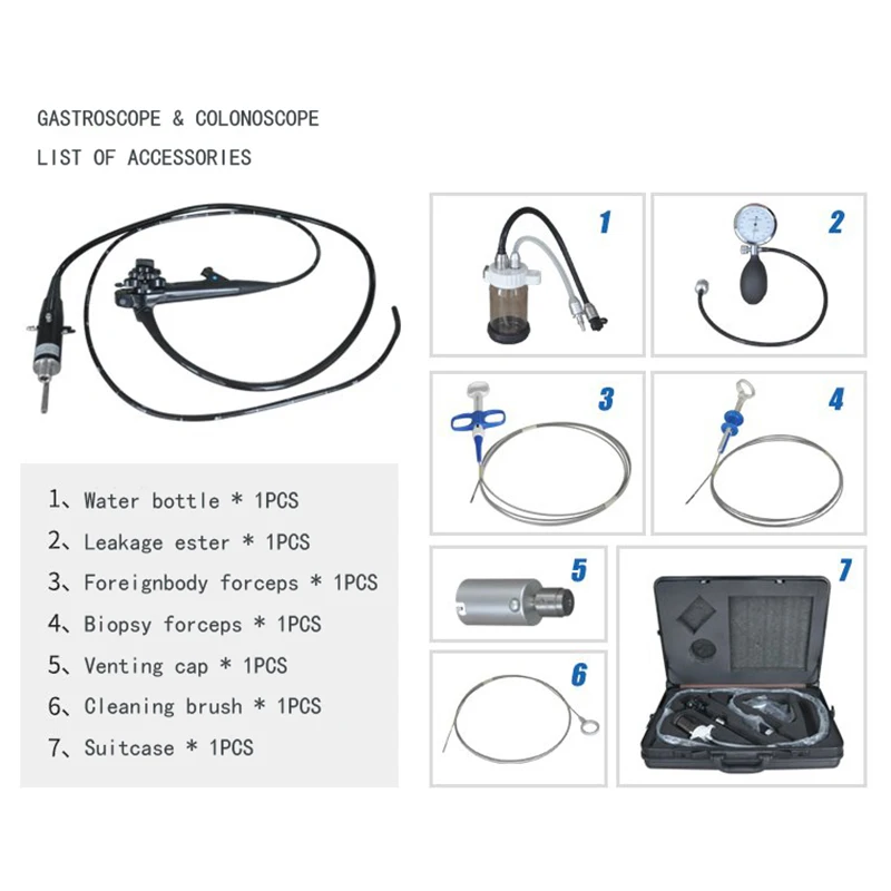 Big Forceps Channel Gastroscope Upper and Lower GI Tract Work in Small Animals and Airways Equine Endoscopy