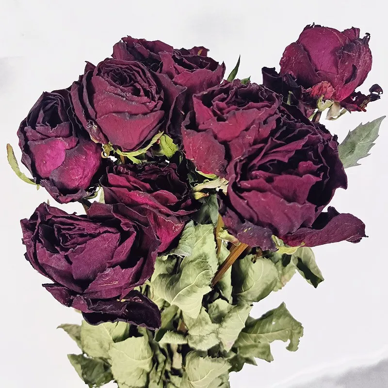 Wholesale Flower Dry Rose Flowers Bouquet Natural Dried Multi-head ...