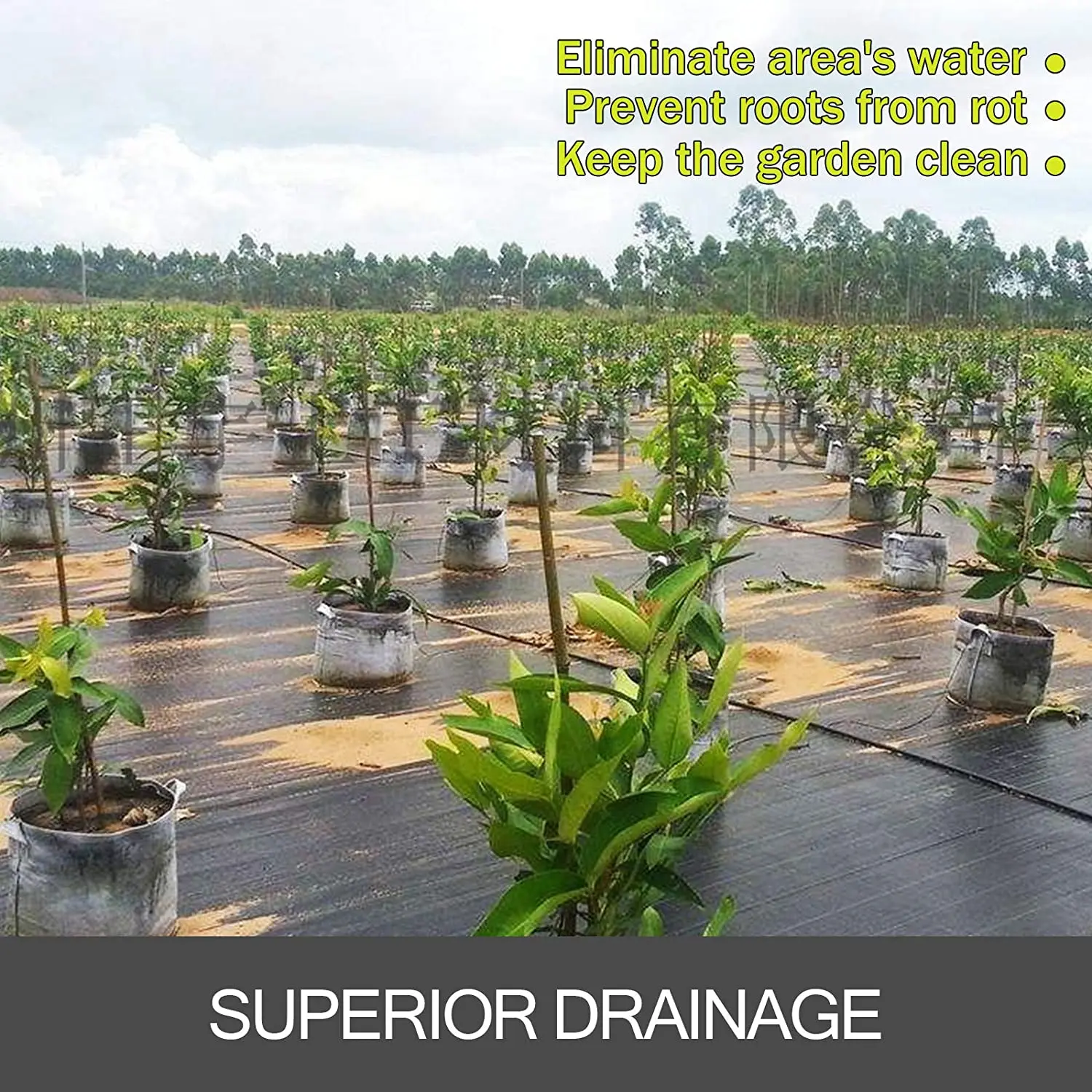 耐久力のある100%のポリプロピレンの雑草防除のマットのプラスチック根おおいの層 1