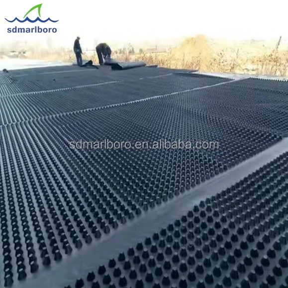 Roof Greening Dimple Drain Board From Manufacturer HDPE Dimple Drainage Board With Competitive Price