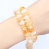 Agrumini