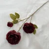 Rosso scuro