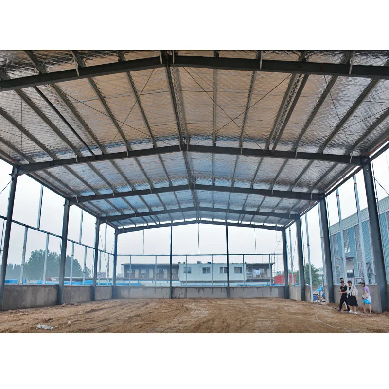 China Henan Large Span Steel Structure Space Frame Design Book Free Download Pdf