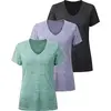 3 Pack Dark Grey Purple Pine Green