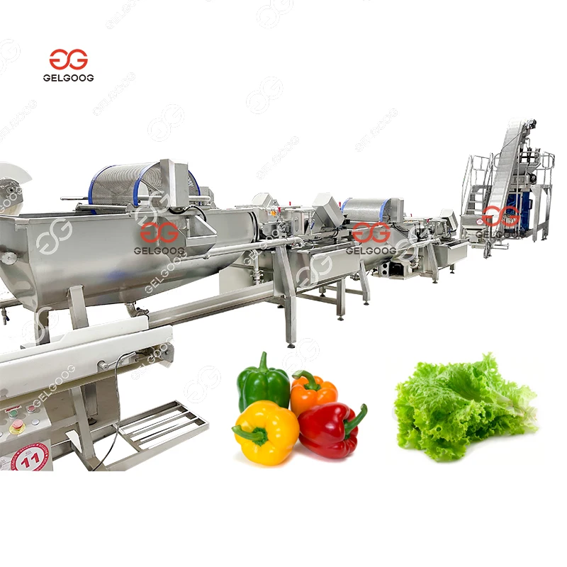 Gelgoog Automatic 500Kg/H Chilli Seed Okra Cleaning Machine Black ...