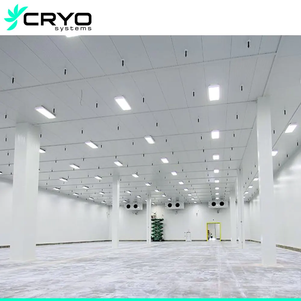 Logistics Cold Storage Freezer Cold Room Project Walk in Chiller and Cooler for Warehouse