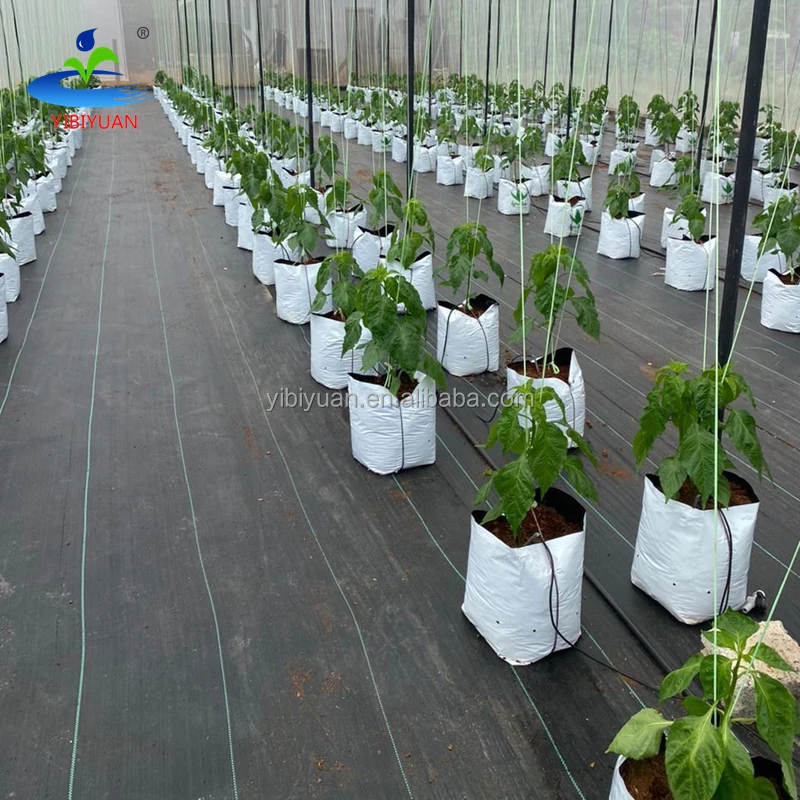 1 3 5 7 10 15 20 Gallon Large Garden Strawberry Tomato Plants Plastic Grow Bags