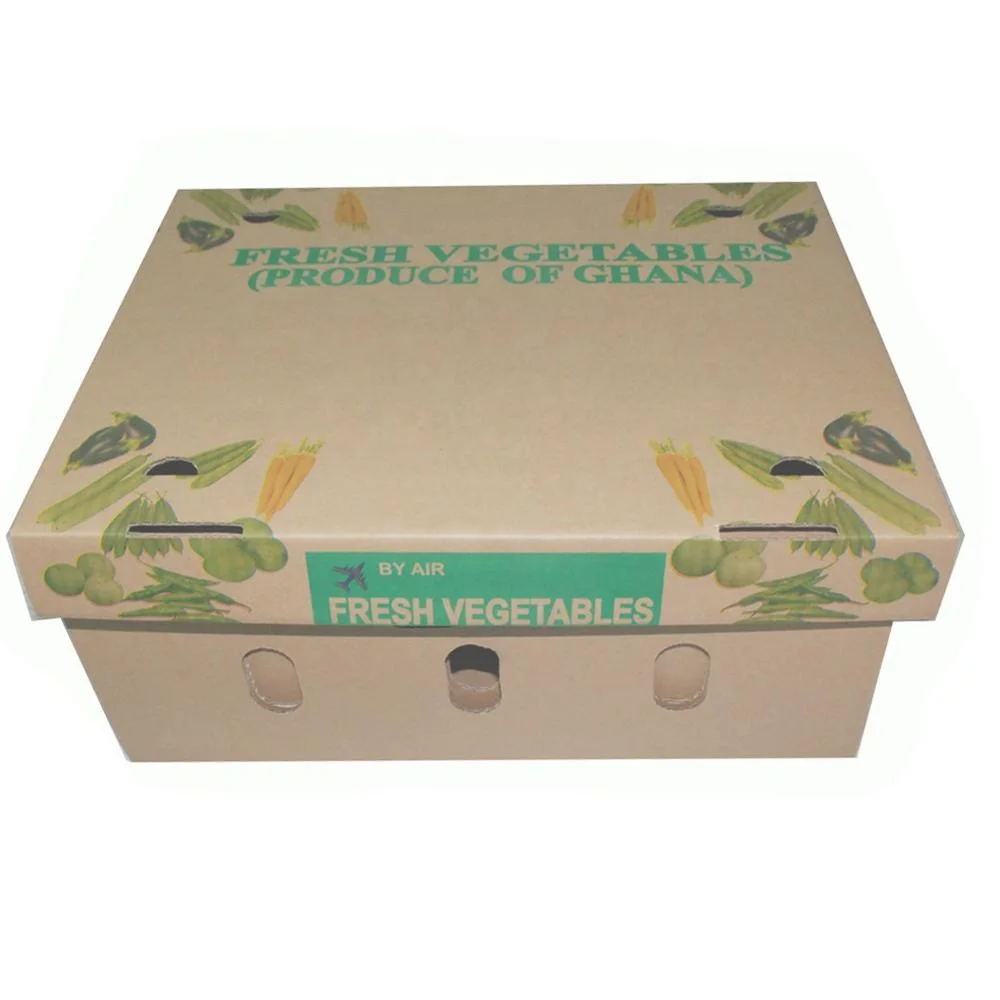 Mangos Fruit Cardboard Carton Box Strong Durable Fresh Fruit Transport Mango Corrugated Packaging with Handle