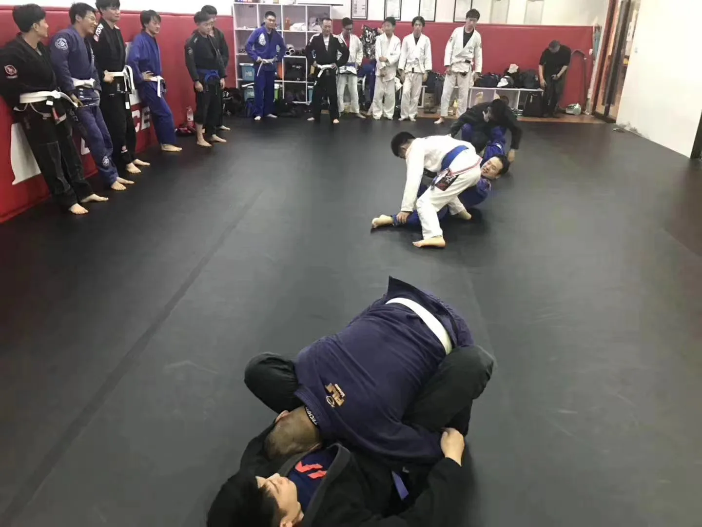 Mma Flexi Roll Mats Wrestling Flexible Roll Jiujitsu Mat Martial Art Style/mats For Bjj Buy