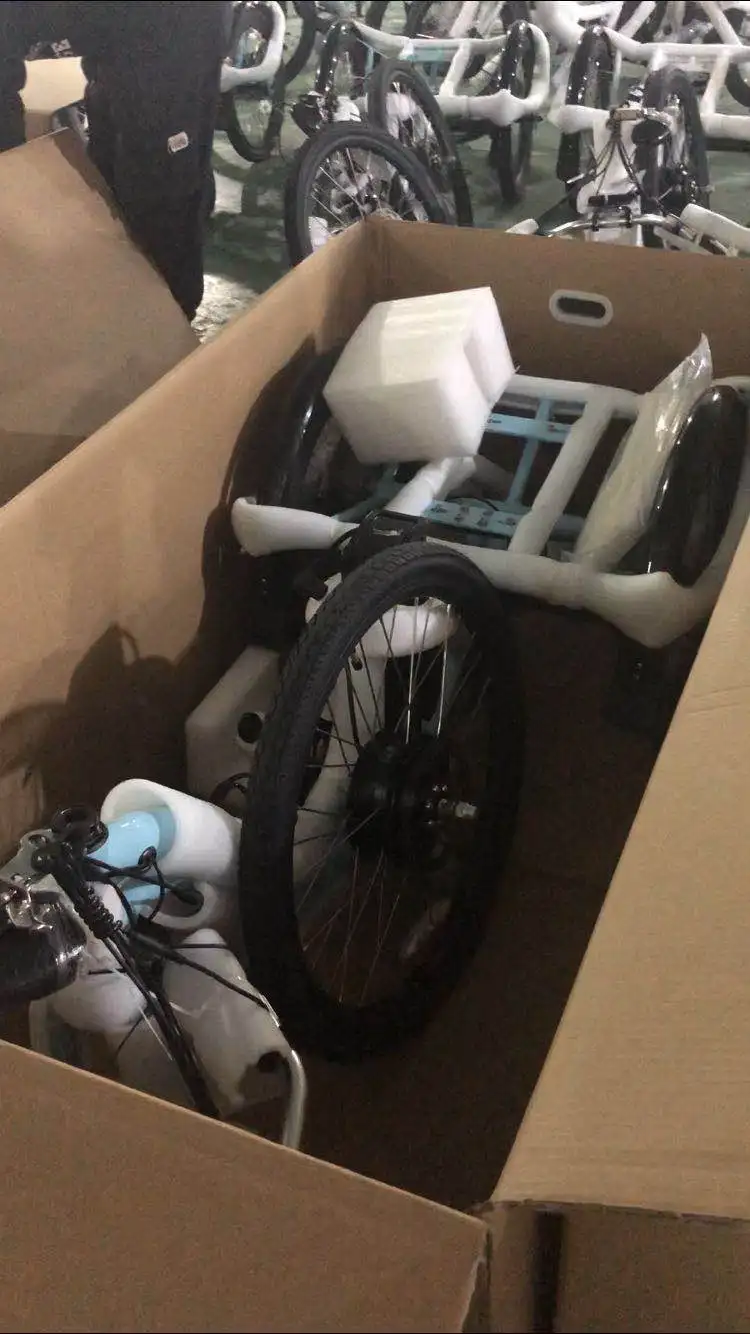 Electric Tricycle Hunting Cargo Electric Trike 20 Inch Fat Tire