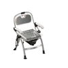 Multi-functional model gary with toilet bowl