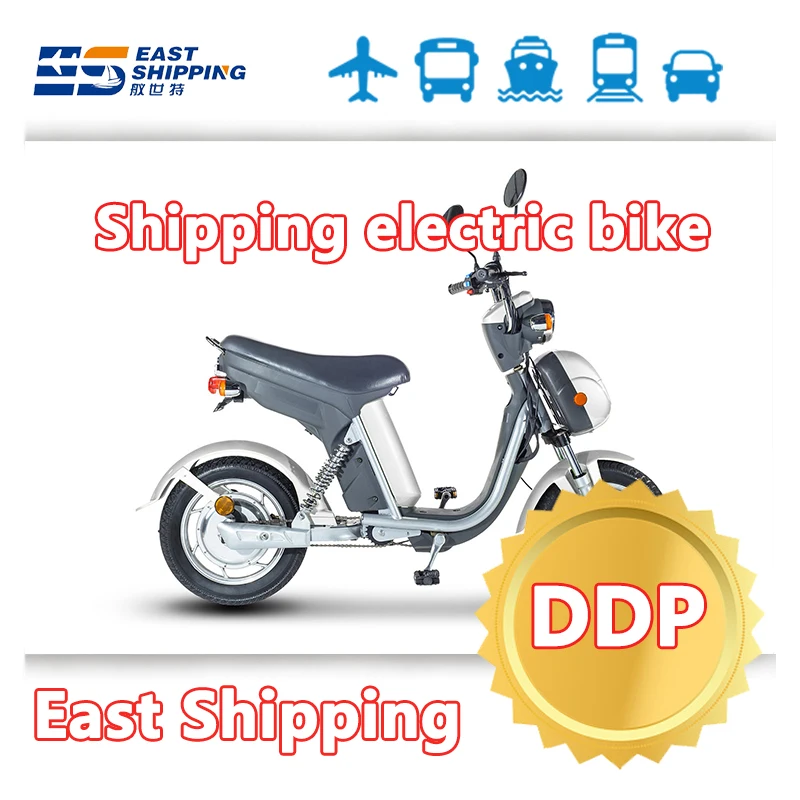 East Shipping Electric Bike Car To Qatar Freight Forwarder Sea Shipping Agent DDP Door To Door From China Shipping To Qatar
