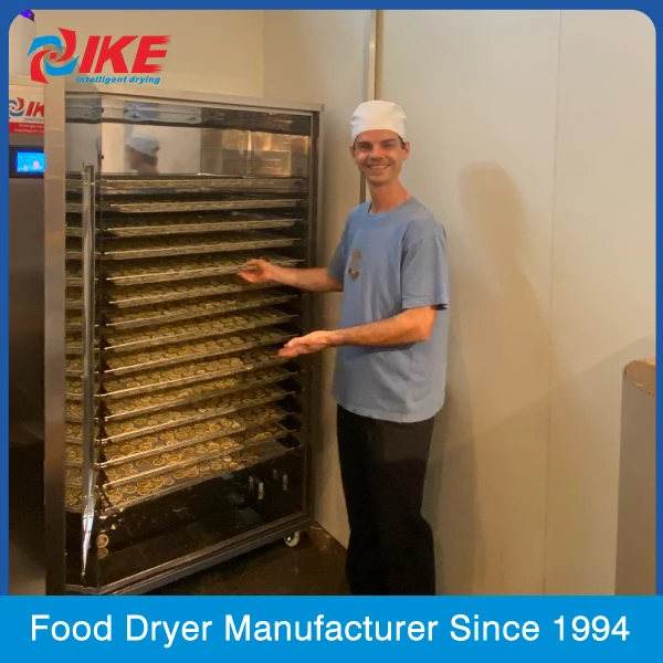 Factory Price Drying Machine Avocado Banana Coconut Chips Fruit Dryer