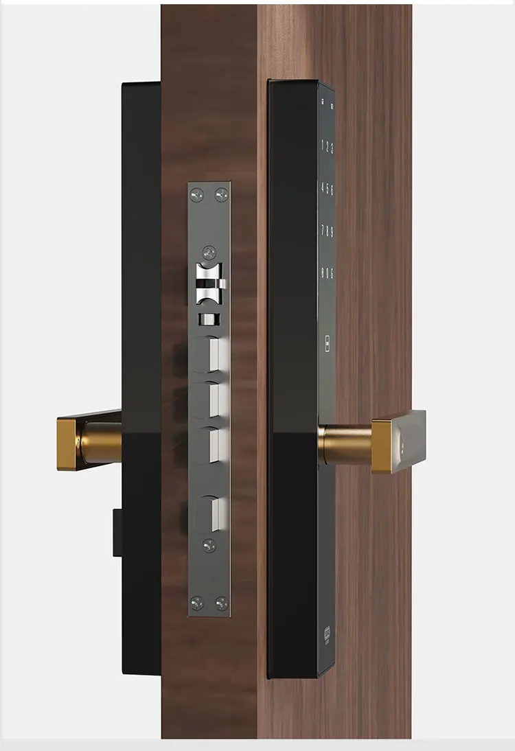 S2 Digital Door Lock With Keypad And Fingerprint European Standard Top