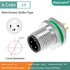 M12-A-3P ชาย M12 * 1.0