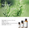 Rosemary (Morocco) 10ml