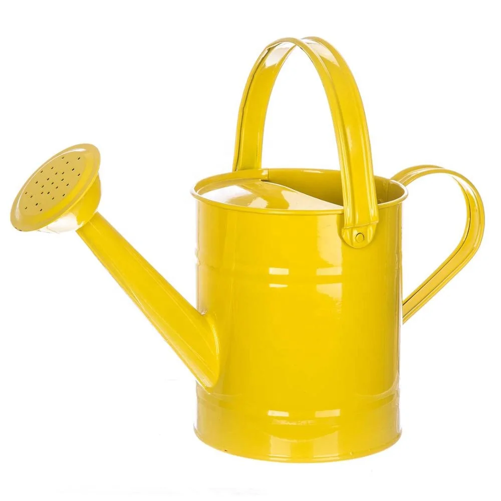 style watering pot with handle /galvanized metal watering can