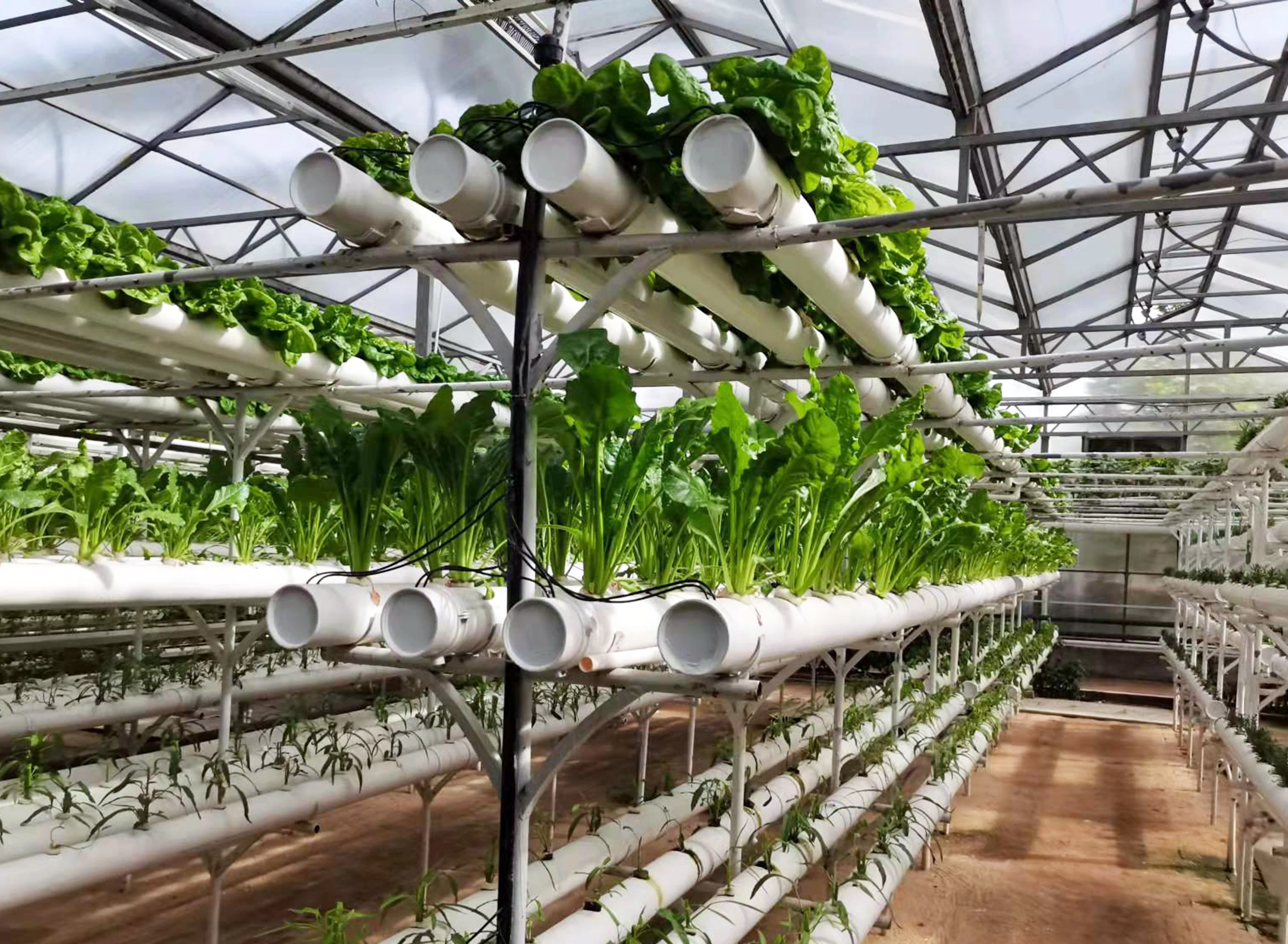 Hydroponic Pipe Pvc Square Nft System Plastic Square Pipe Hydroponic Plant Tube System Nft Gully
