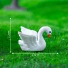 7#Cigno