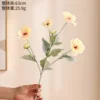 Butterfly Peony Yellow