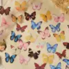 Mariposa