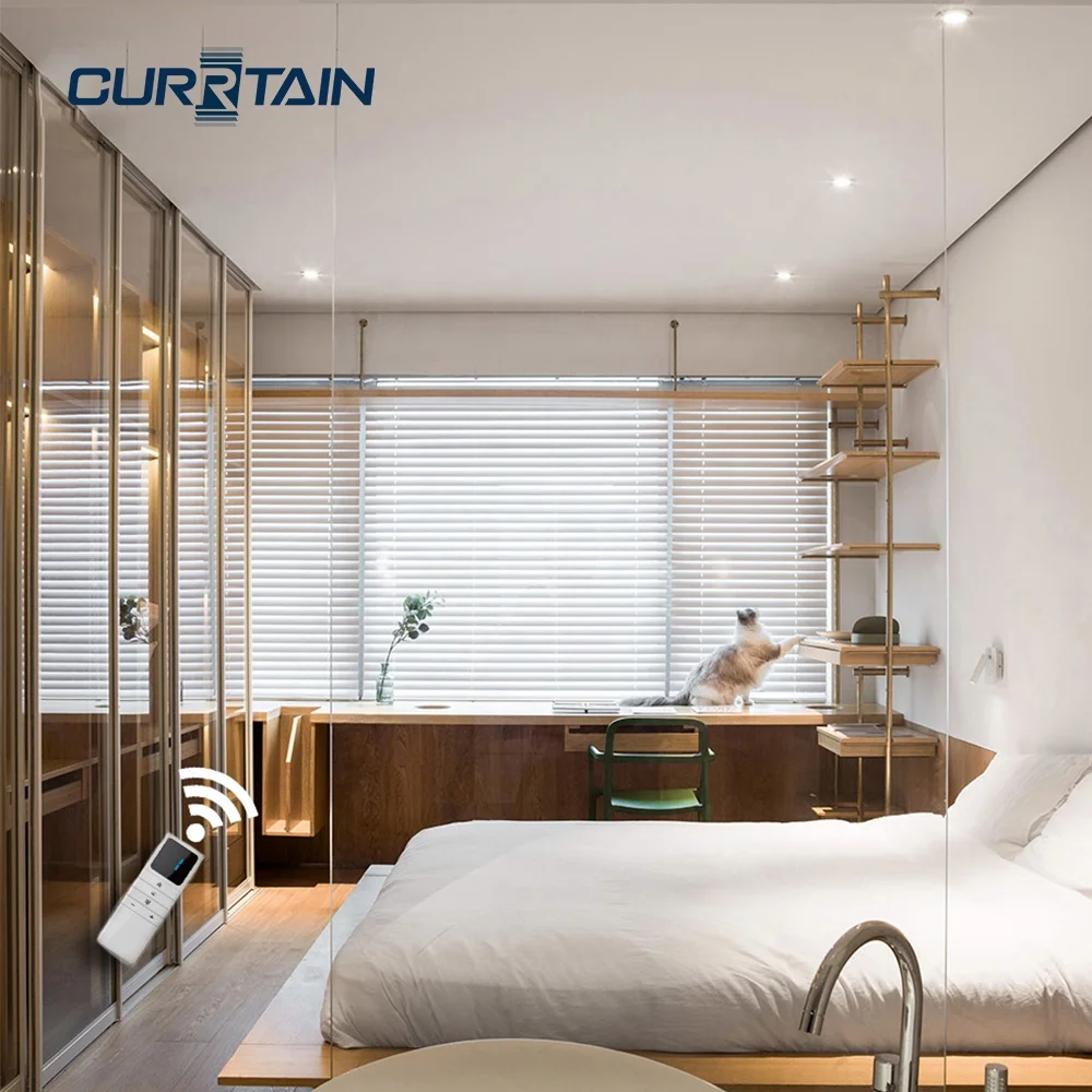CURRTAIN Smart Curtain Opener and Remote Controller ZC168A Battery Charing Curtains with Remote Control for Curtain