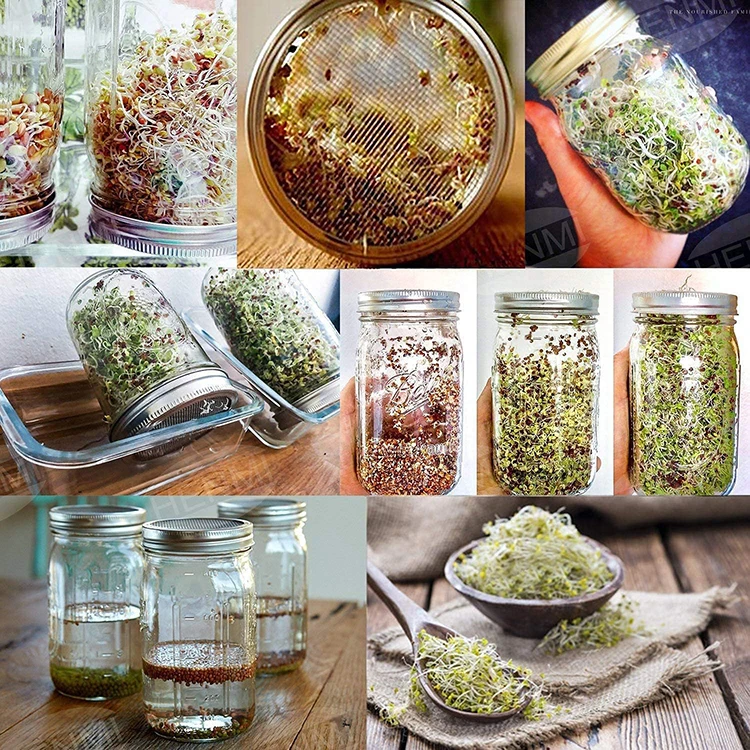 2023 New Hot Sell Sprouting Jars With Mesh Lids Microgreens Seed Sprouts Growing Jar Kit