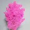 fresh pink