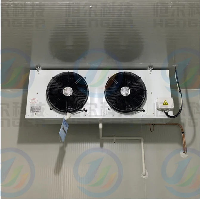 Onion Cold Room Storage System Efficient Warehouse and Storage Solution for Onion Storage
