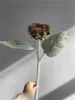 #1 sunflowers