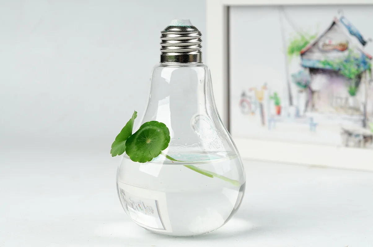 Hanging European Creative Bulb Light   Glass Vase Transparent Hydroponic Vase Glass Vase for Decoration