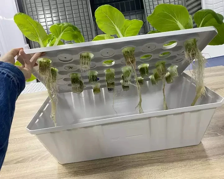 Abs Plastic Ebb And Flow Trays Grow Tray Hydroponic System Greenhouse