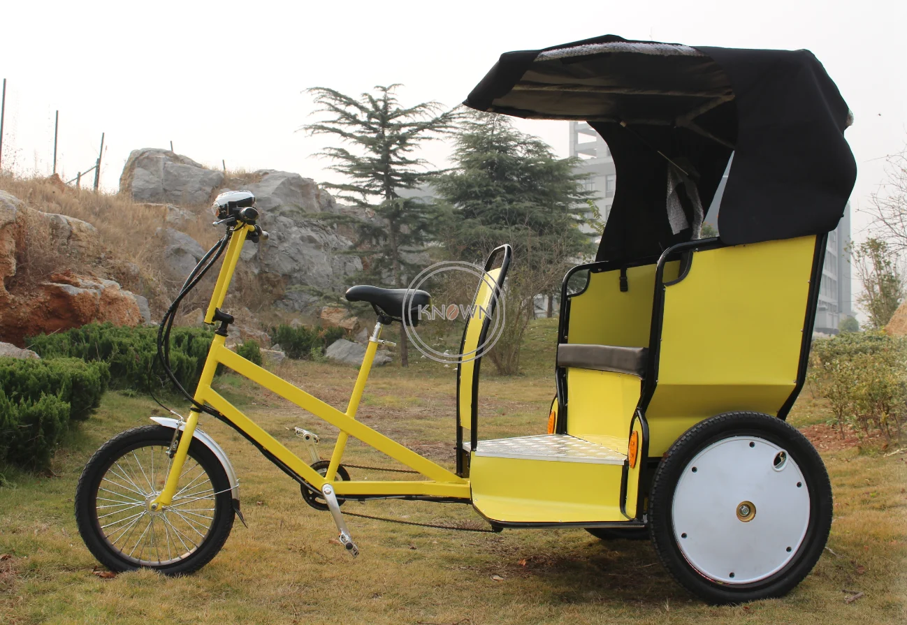 Pedal Tuk Tuk Pedicab Rickshaw With Full Panint Electric Passenger ...