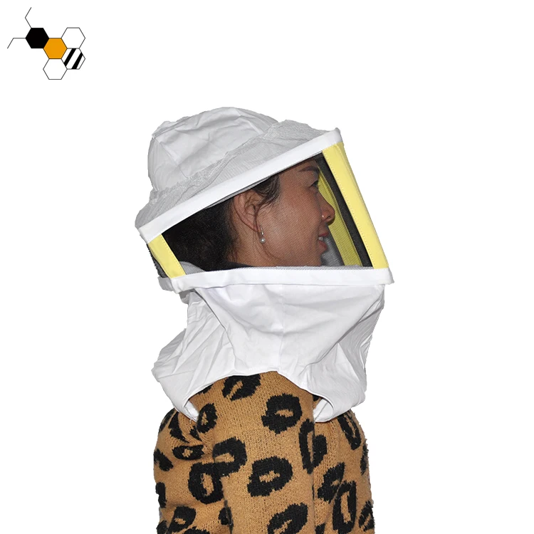 bee hat protection