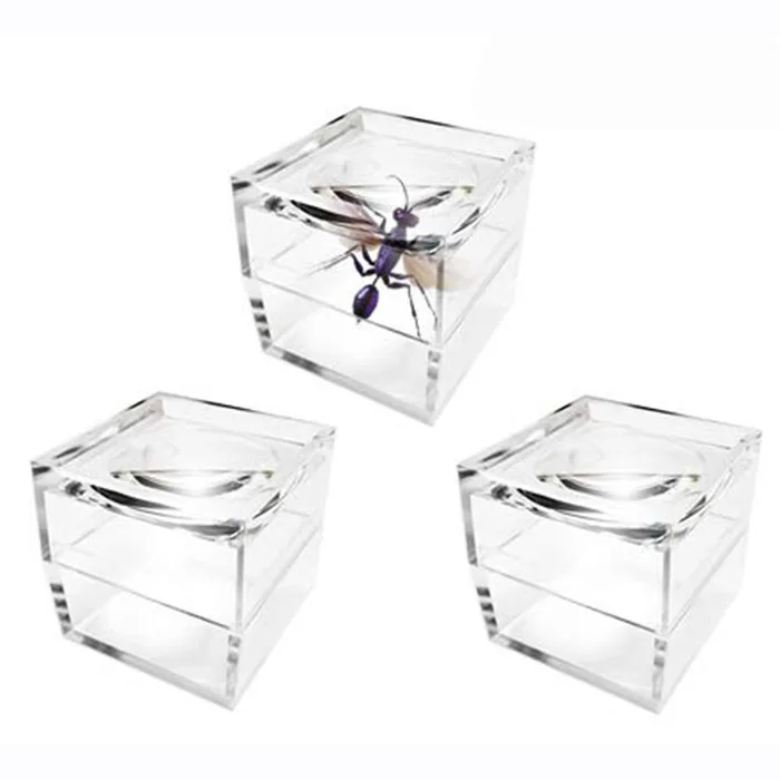 1 Inch Magnifying Box 4x Magnification Acrylic Cube