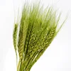 grass green