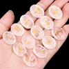 Cristal blanco (13 piezas)