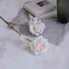 Rosa claro