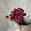 Exactly 25 Flowers with a Diameter of about 1-3cm