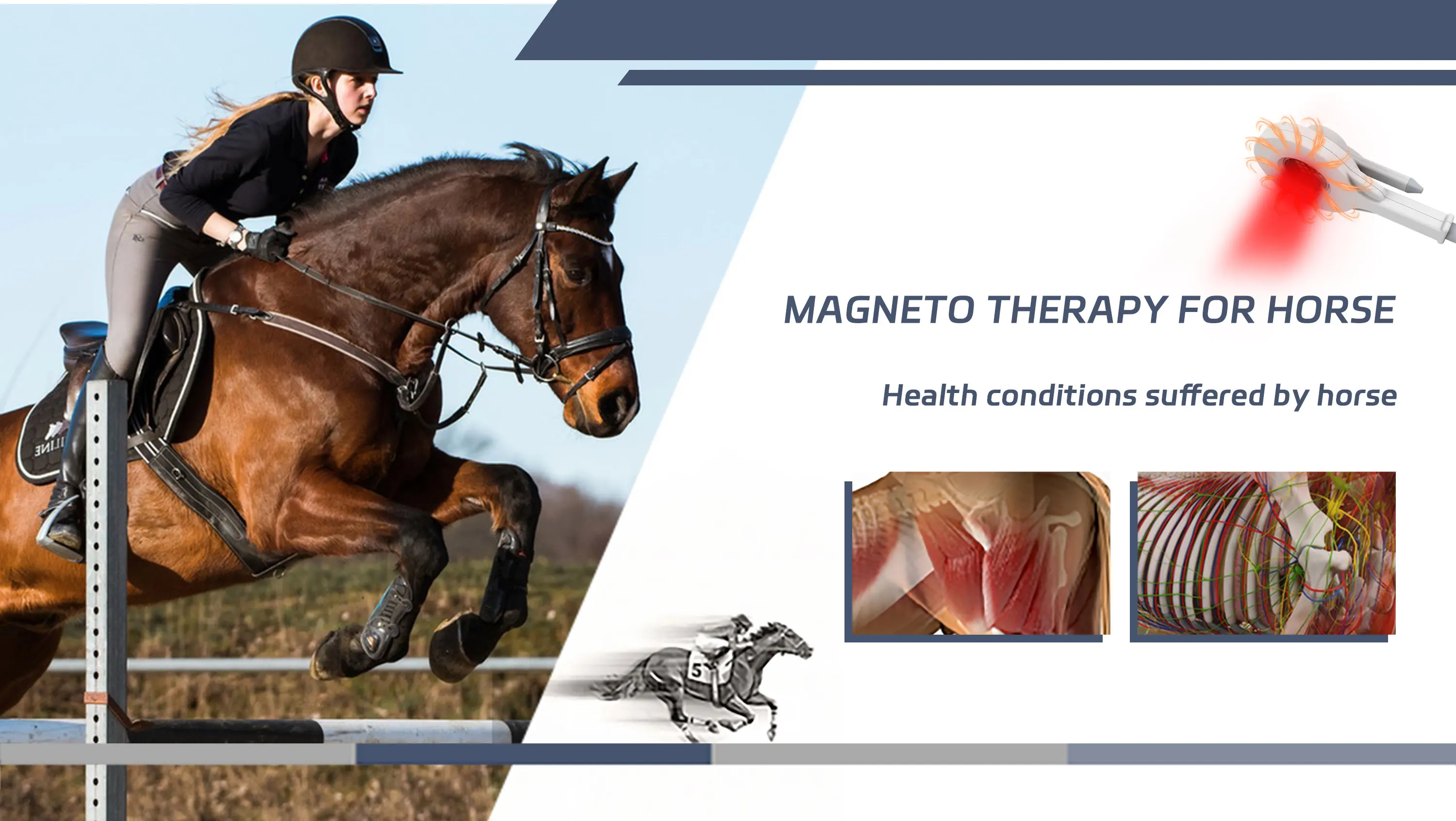 Latest Electro Wave Therapy Machine For Horses Pemf Loop Pain Reduction