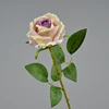 Colore viola