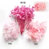 ดอกไม้แห้งสีคงที่หนึ่งกล่อง - ดอกไม้สีชมพู