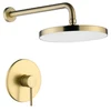 Brushed Gold 1