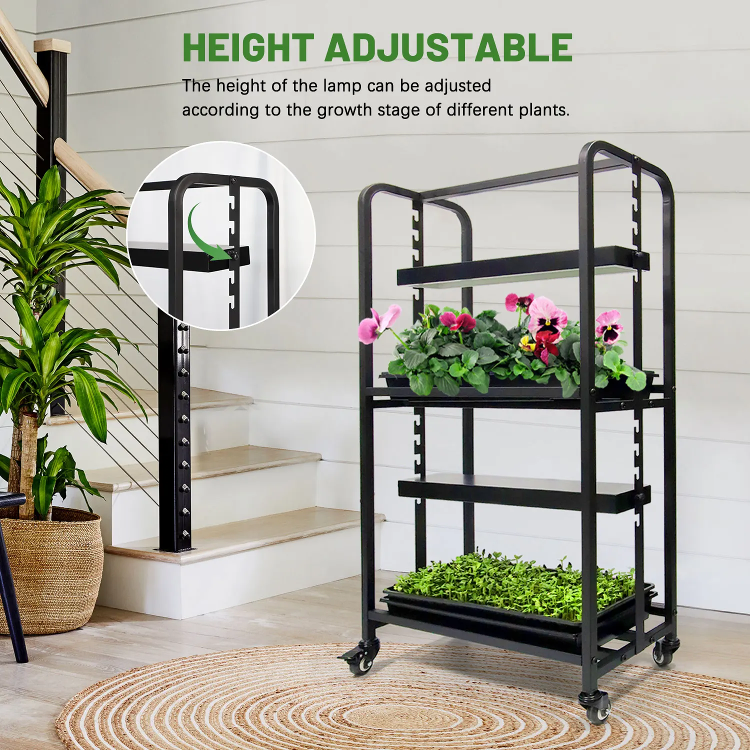Plant Grow Stand