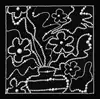 Black6