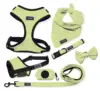 Light Green Mini Anchor Ocean Print