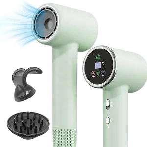 High-Speed Ionic Salon Hair Dryer with Concentrator Nozzle for Hotels