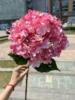 #3 dark pink